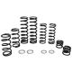 zBroz Polaris RZR XP Turbo S Stage 1 Dual Rate Spring Kit for Walker Evans Shocks