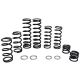 zBroz Polaris RZR Pro XP Stage 1 Dual Rate Spring Kit for Fox Dynamix Shocks