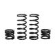 zBroz Polaris RZR Pro XP Tender Spring Kit for Fox Dynamix Shocks